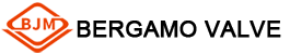 zhejiang bergamo valve co.,ltd